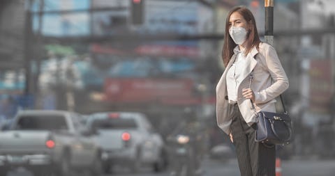 Our Institute Scientists Urge Crackdown on Air Pollution to Help the Heart