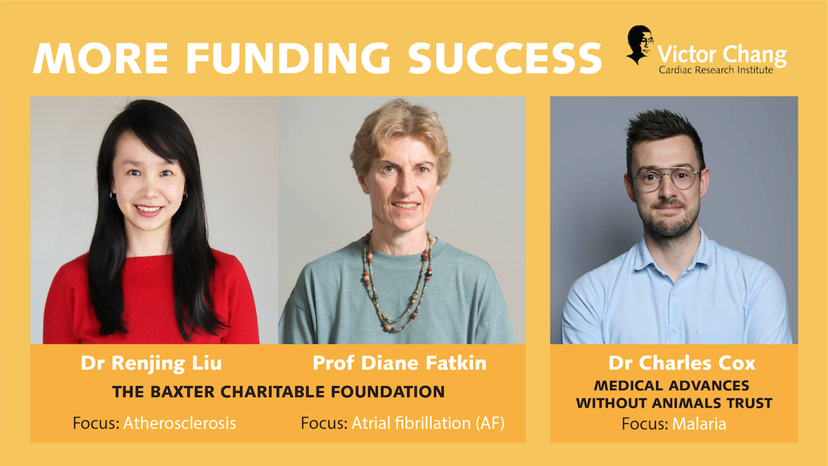 More Funding Success! Dr Renjing Liu, Prof Diane Fatkin, Dr Charles Cox | Victor Chang Cardiac Research Institute