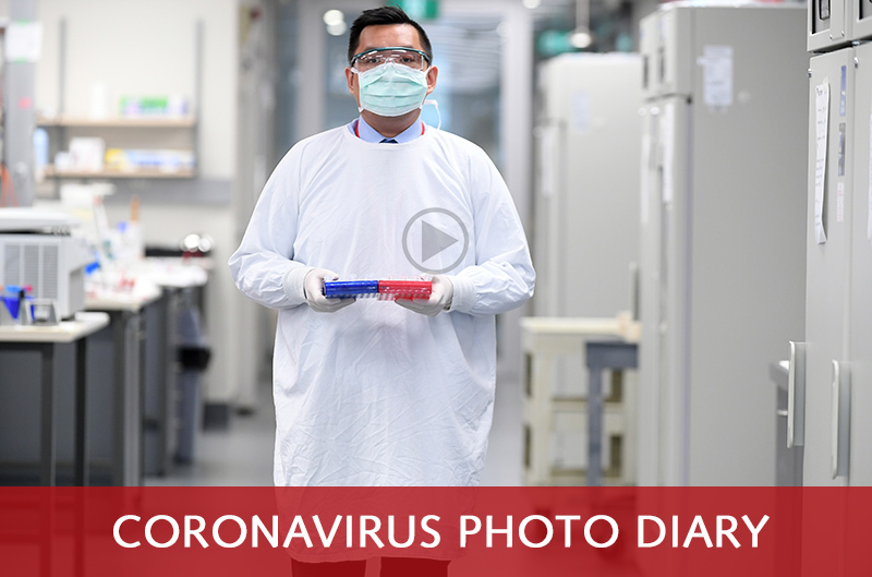 Play coronavirus photo diary