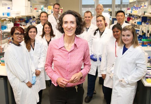 Professor Sally Dunwoodie from the Victor Chang Cardiac Research Institute has been honoured with a NHMRC Research Excellence Award. Read more.