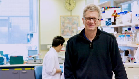 World-leading developmental cardiologist and Co-Deputy Director of the Victor Chang Cardiac Research Institute, Professor Richard Harvey, has been awarded the 2018 NSW Premier’s Prize for Excellence in Medical Biological Sciences.