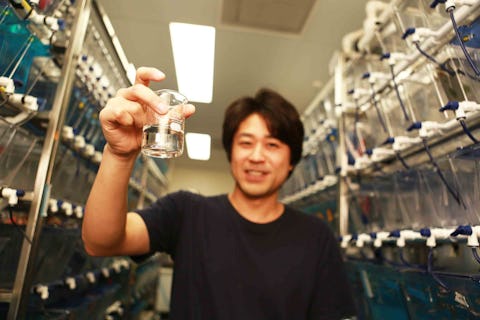 Fishing for Clues - Profile on Dr Kazu Kikuchi