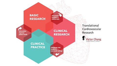 Translational Cardiovascular Research – A Watershed Moment For Heart Research