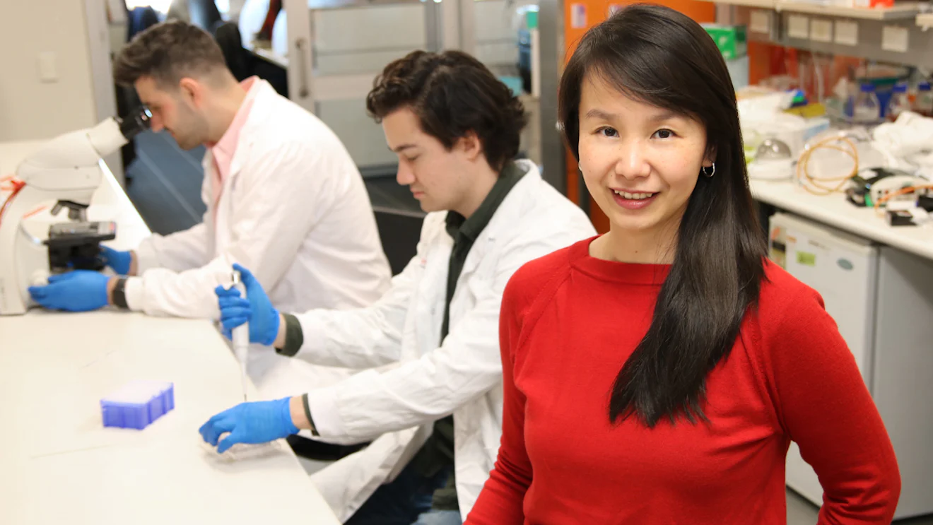 Peripheral Artery Disease Victor Chang Cardiac Research Institute peripheral-artery-disease-victor-chang-cardiac-research-institute