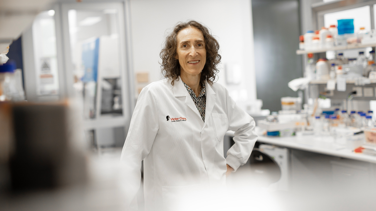 Embryology Laboratory - The Victor Chang Cardiac Research Institute