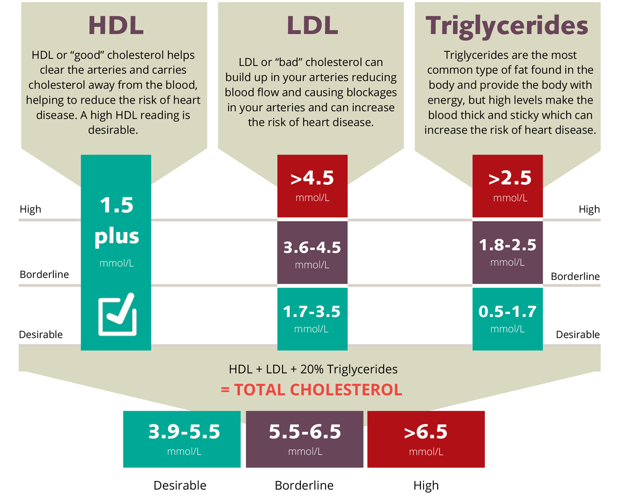 High Cholesterol Symptoms Risks Victor Chang Cardiac Research   Understanding Cholesterol Levels Sept 23 